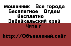 мошенник - Все города Бесплатное » Отдам бесплатно   . Забайкальский край,Чита г.